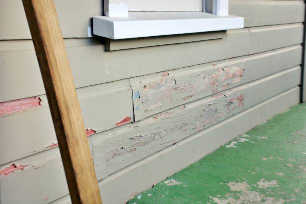 Best Dumpster Rental Services  in Granger, WA